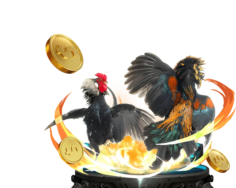 Tổng quan về luật chơi Manclub tải game